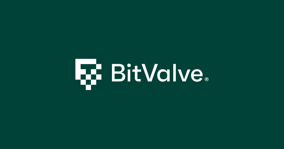 www.bitvalve.com